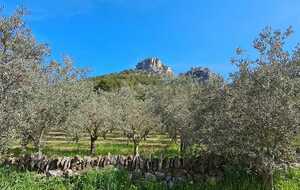 Les triplettes en goguette dans le Vaucluse par Sandrine M