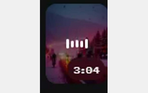 La fugue du nouvel an