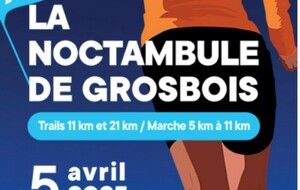 Noctambule de Grosbois 