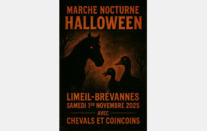 Marche nocturne avec Chevals et Coincoins 