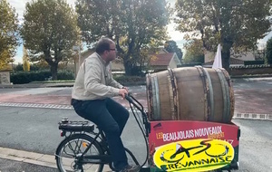 Beaujolais Nouveau
